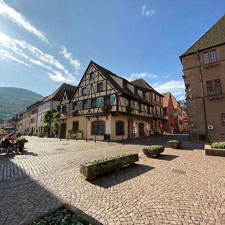 Coeur D'Alsace Leilighet Kaysersberg-Vignoble Eksteriør bilde