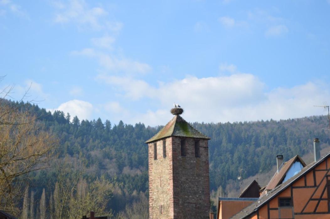 Coeur D'Alsace Leilighet Kaysersberg-Vignoble Eksteriør bilde